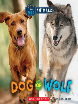 cover image of Dog or Wolf